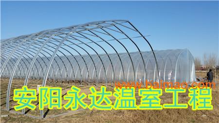 粘大棚薄膜用的胶水