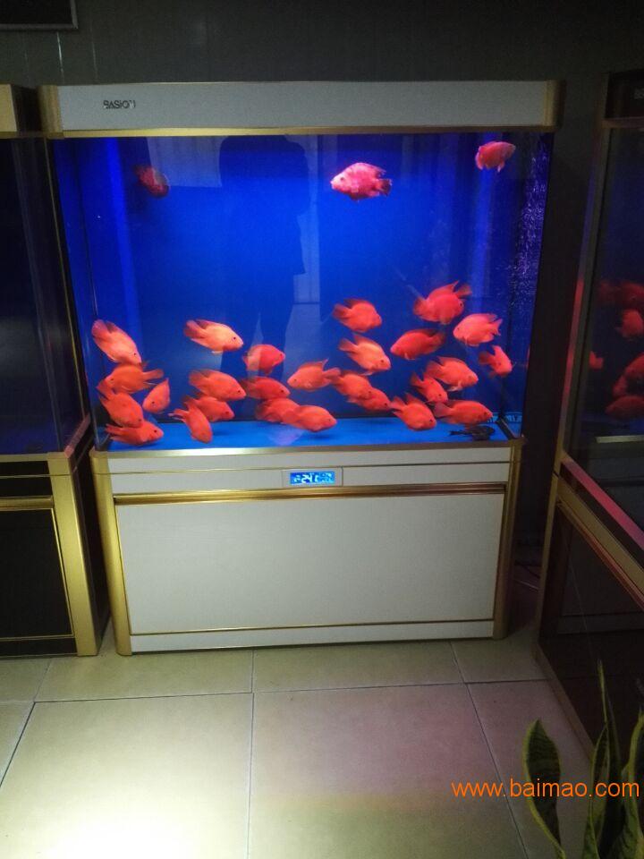 兰州三森水族箱批发-西宁水族箱批发,宁夏水族箱批发