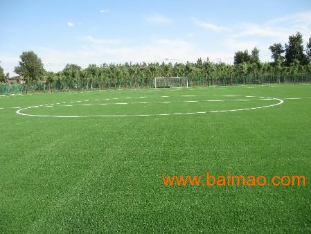 人工草坪足球场,专业铺设人造草坪,休闲型人工