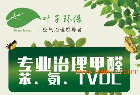 南宁叶子环保\/南宁叶子环保专业除甲醛,南宁叶