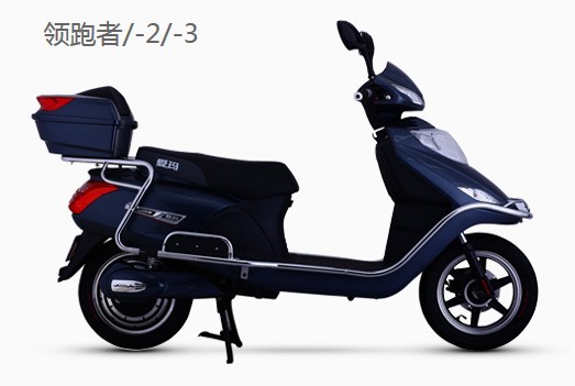 2013新款厂家直销爱玛**电动摩托车价格 - **
