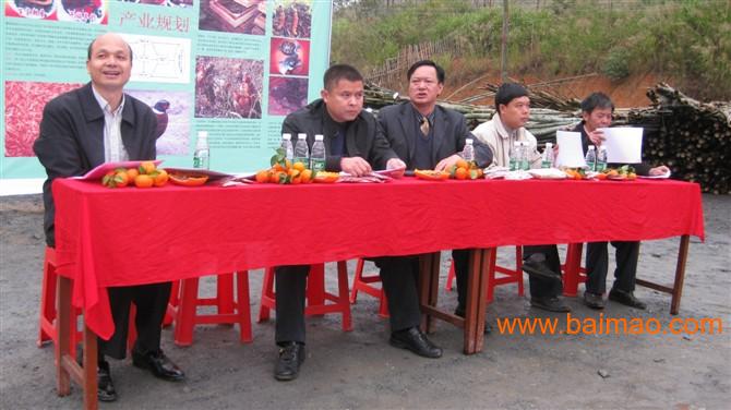 小投资创业项目农村在家创业好项目,小投资创