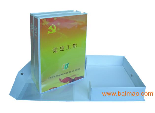 党建工作档案盒标签|2015年度党建档案盒标签