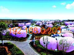 旅游攻略怎么制作的 wKgAFFj5tFeAFU8MAAAzkQglm3c896.jpg