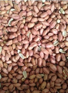 多少斤花生可以榨油 wKgAFFPXTlKAKAIxAAB8A2KAFBM008.jpg