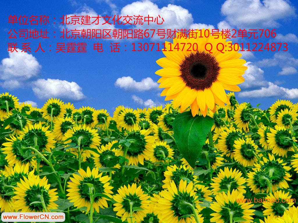 一级注册消防工程师天津代报名,一级注册消防