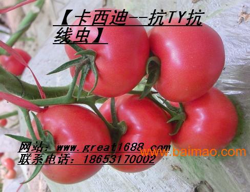 wKgAFFJXdDeAf4DvAACR4yD5j4c468.jpg