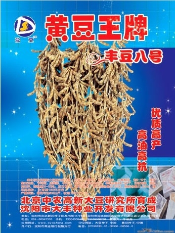 供应sdf水稻种子哪家好-大豆种子,黄豆种子