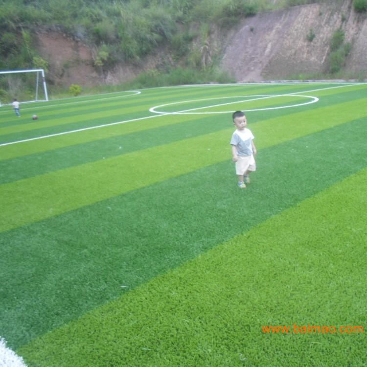 福建足球场人造草\/5人制足球场人工草皮\/人造