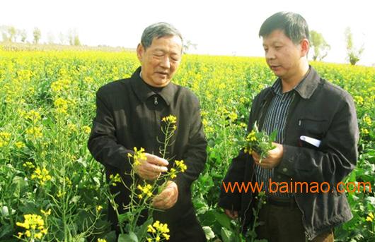 黑水虻科技苑,黑水虻养殖技术视频-第1张图片-雷盾自助建站|ai文本生成,aigc软件站公司网站源码-天霸装饰 黑水虻科技苑,黑水虻养殖技术视频-第1张图片-雷盾自助建站|ai文本生成,aigc软件站公司网站源码-天霸装饰
