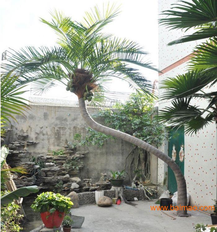 椰子树玻璃钢大型景观树海南热带椰子树厂家定做