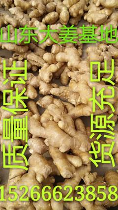 土豆加工出售 wKgAFFWAsyiAChMeAAB3mpJw6iU998.jpg