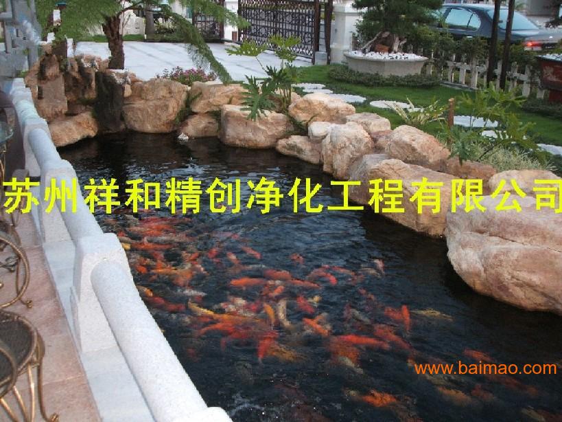 鱼池水处理工程,首选精创环保,保质保量,后果无忧厂家/批发/供应商