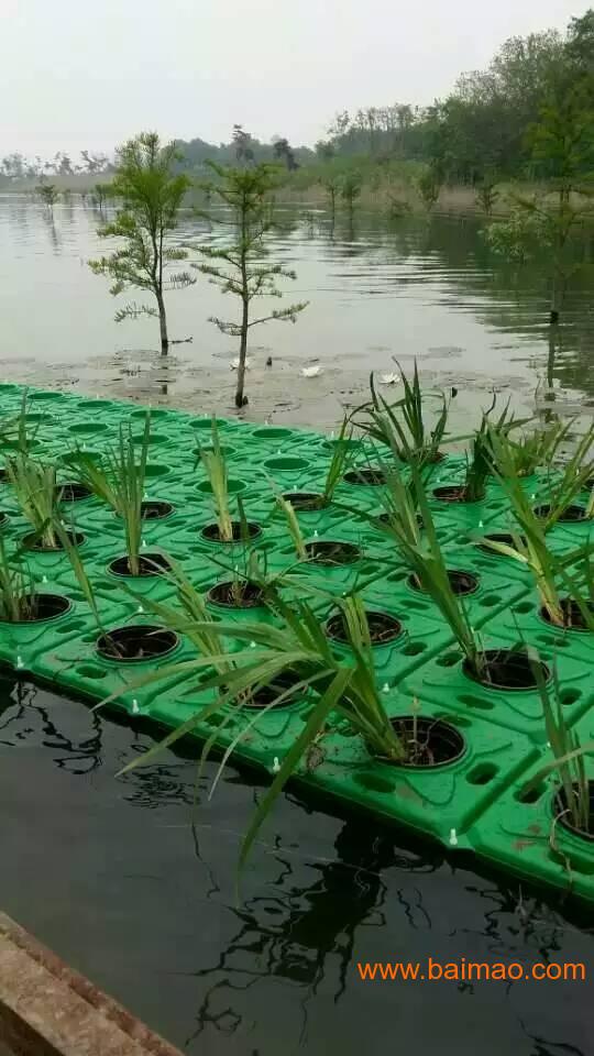 生物浮床 植物浮床 人工浮床 水生植物浮床 生态浮床