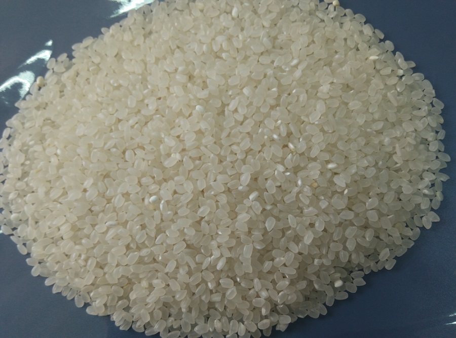 越南珍珠米 寿司米 正规进口大米