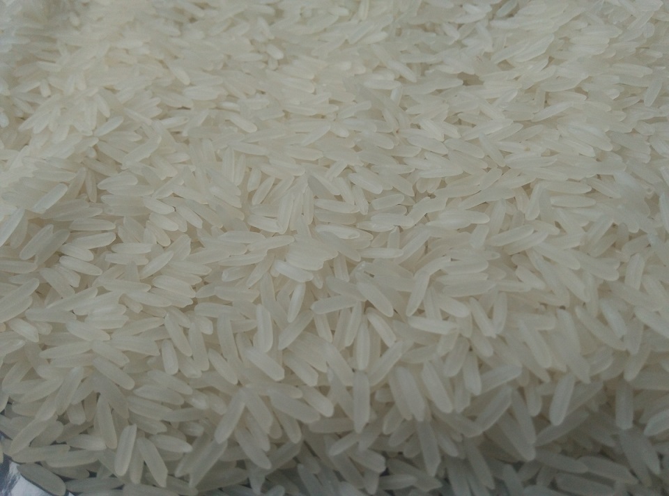 进口高级香米 柬埔寨茉莉香米 泰国香米级大米
