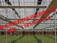 wKgAFFfOdVaAL8QvAAA3Jt5nOAk468.jpg