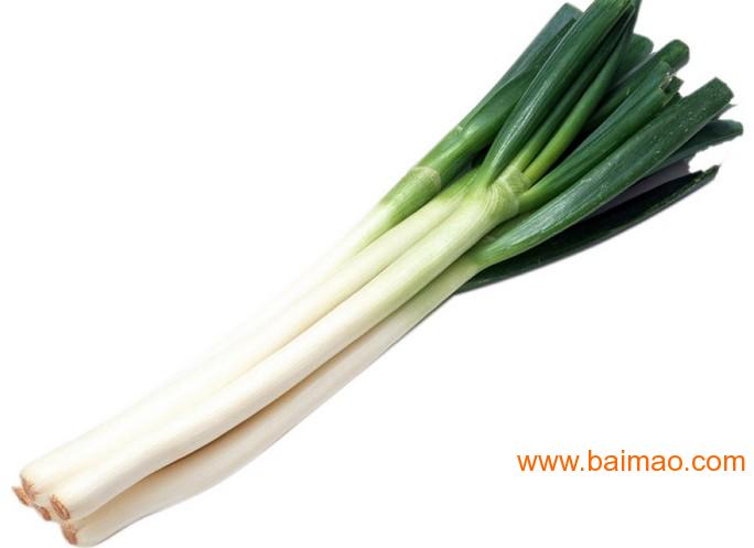 供应中华巨葱种子优质品种价格农科院培育高产