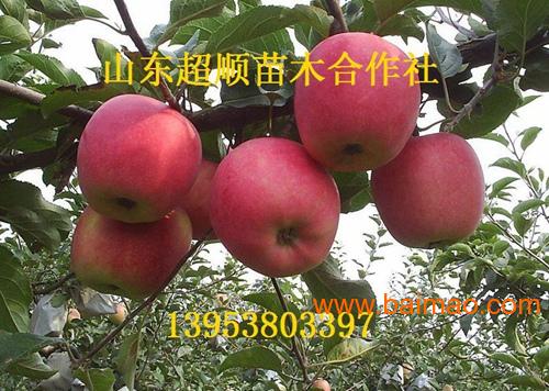 wKgAFFW29qaAQCfOAADNbl9Rg6M020.jpg