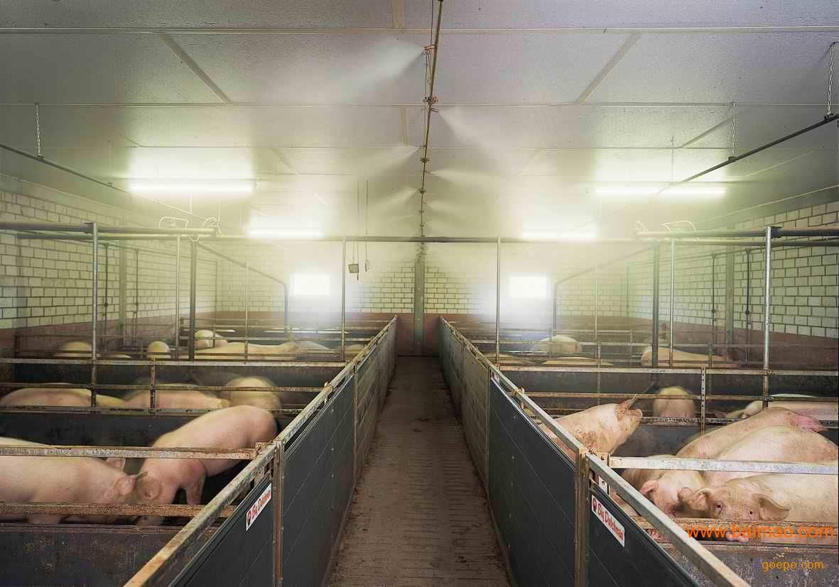江门,湛江,茂名,养猪场猪舍喷雾降温消毒系统