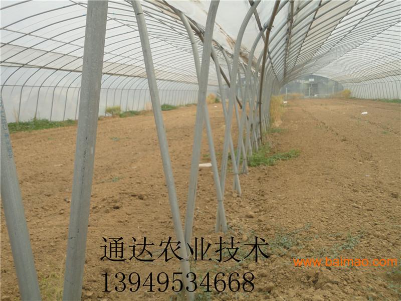 产品描述 安阳县通达农业技术公司的主要经营项目:塑料大棚,蔬菜大棚