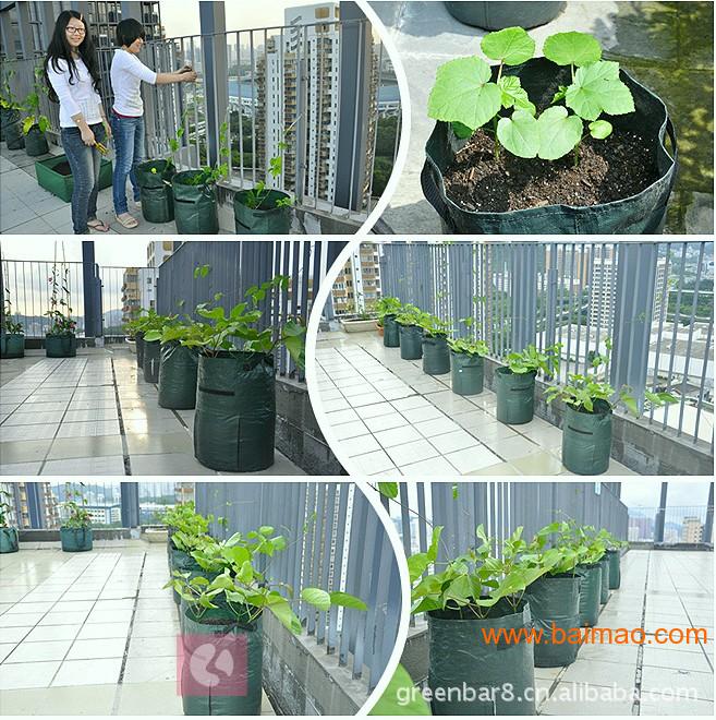 厂家直销种植袋 阳台种菜 园艺工具 土豆种植袋