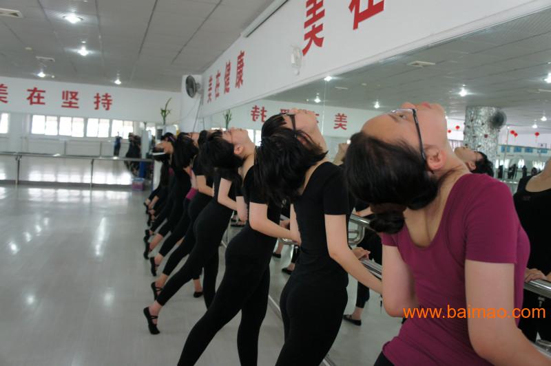 厦门黄伟美文化传播有限公司批发供应形体培训