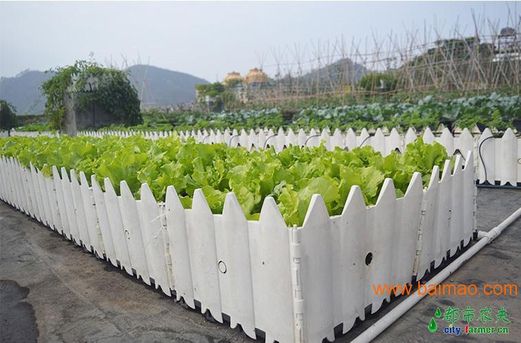 深圳都市农夫屋顶绿化项目_自动灌溉系统蓄排