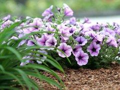wKgAFFN8AOyAAMtlAAA5KNh3QWs430.jpg