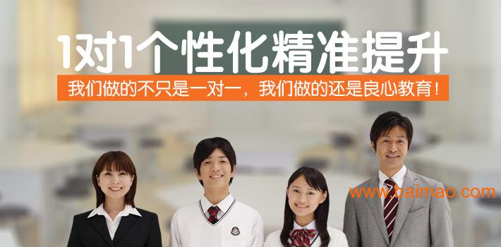 捷登小学,初中,高中 一对一辅导、补习-捷登教育