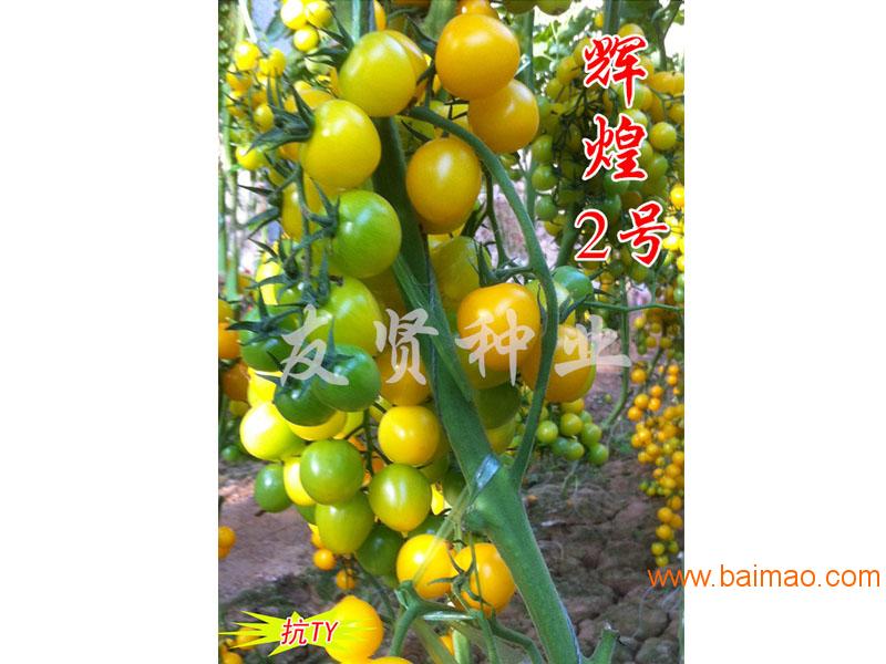 wKgAFFi497GAHYBTAAEJUxthrII683.jpg