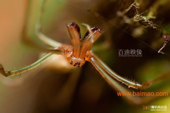 深圳儿童摄影培训机构-深圳化妆摄影职业培训