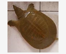 wKgAFFOyHFuAH9SkAABYfkzPsbg983.jpg