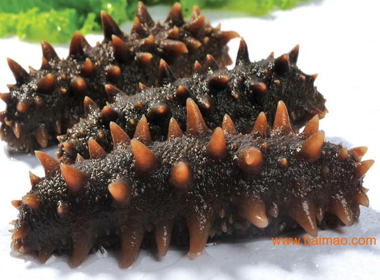 绿野的大连辽参即食海参销量怎么样 烟台即食