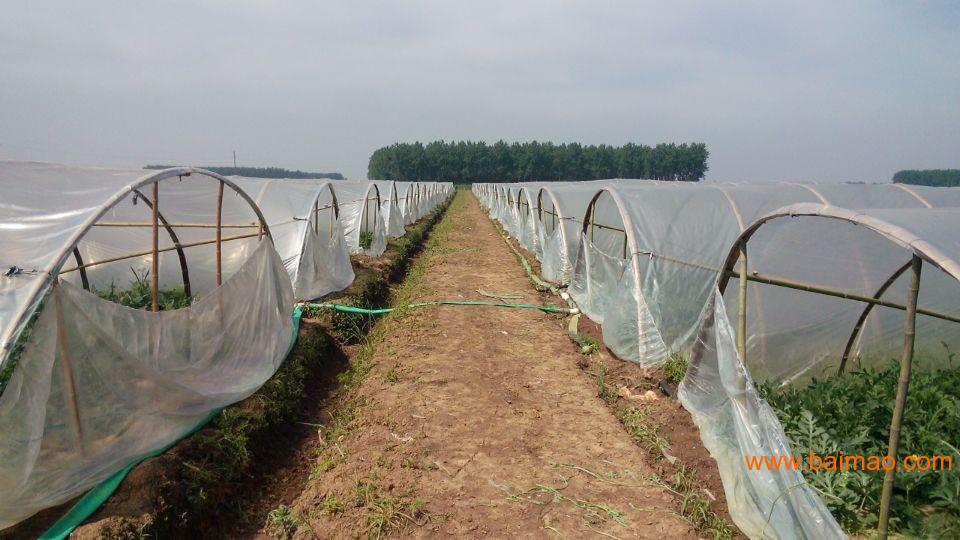 淄博有多少个工业园区 wKgAFFPI2VyANINuAAFOJQ696KQ657.jpg