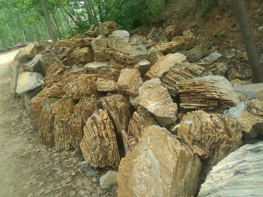 建筑与房地产 花岗岩,大理石,石料 景观石 山东龟纹石-临朐