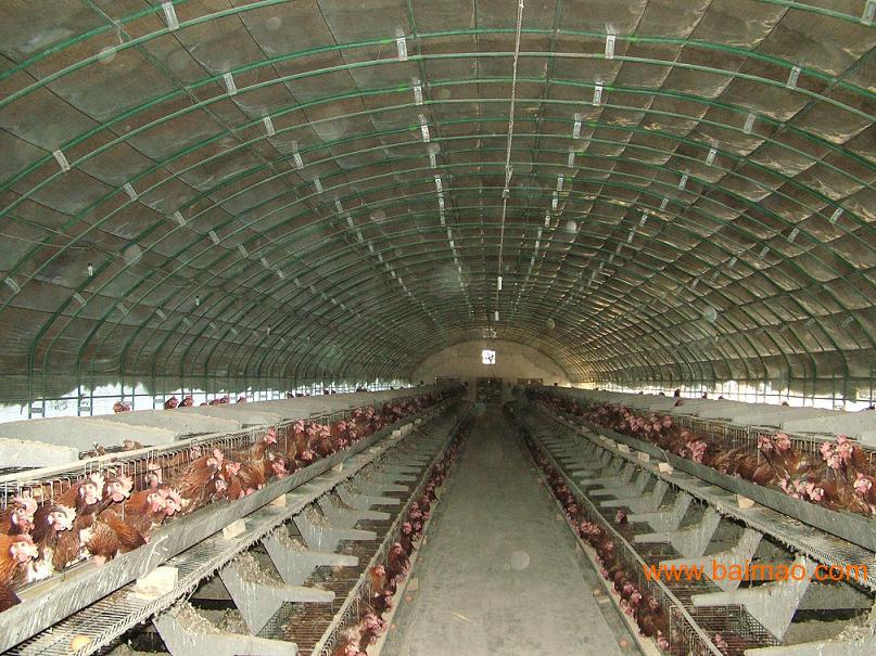 信誉好的养殖温室棚行情--建造养殖温室棚,信誉