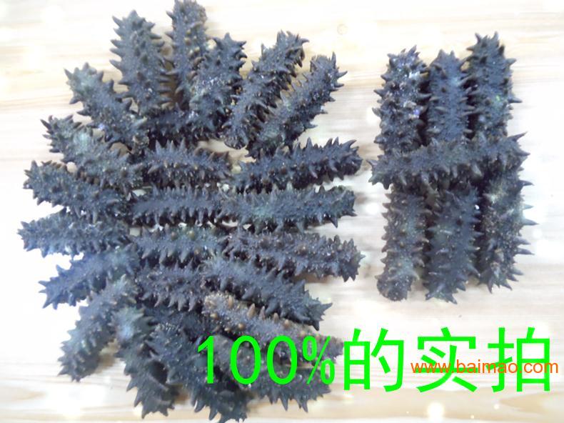 芝罘大连海参 哪儿有销量好的即食海参批发市