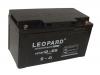 美洲豹（LEOPARD）UPS蓄電池12V6**H