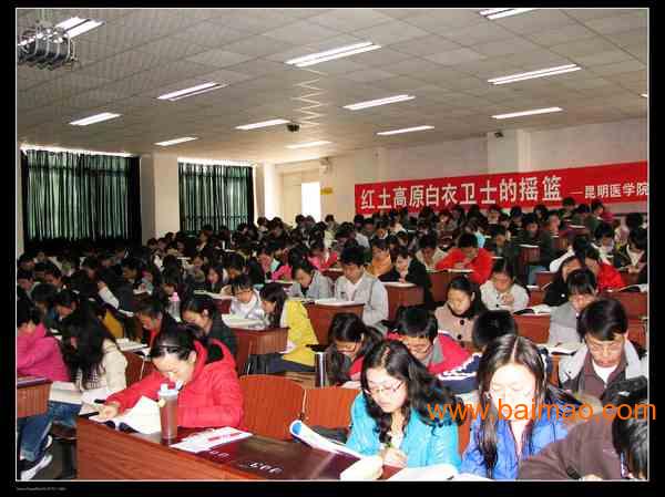 单位收入证明模板_昆明事业单位收入(2)