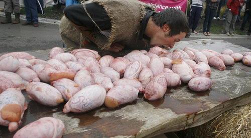 天津冻顶级进口牛鞭 ,牛蛋,阿兰纳A60牛腱,天津