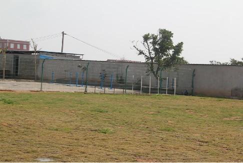 哪里可以办理环球宠物移民 宠物出国台湾香港