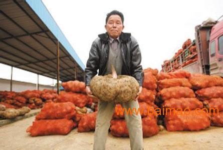 乡镇办个汇通快递点有前途吗。大概多少钱