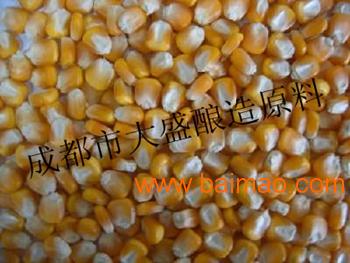 大盛常年現款求購求購玉米小麥高粱大米等原料