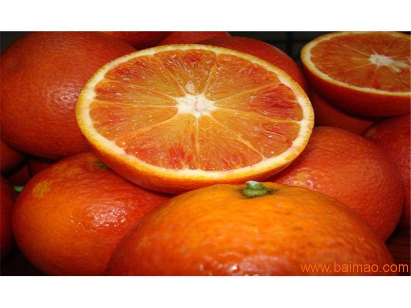 血脐橙生产物所值的红玉血橙橘供应