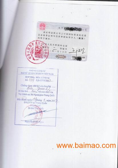 wKgAFFVdiSaAO5sAAABkBP_eEFw551.jpg