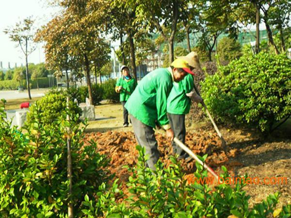 庆云公路分中心多措并举做好夏季绿化养护工作_大众网