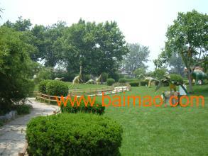 园林绿化排名_园林绿化