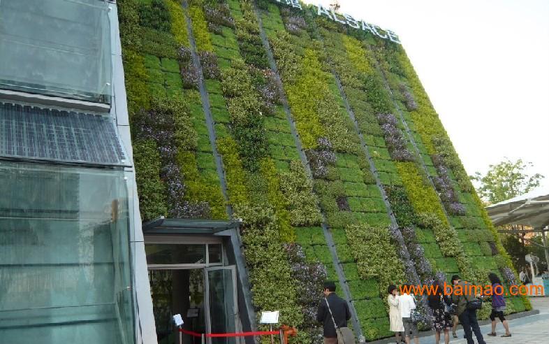 AC米兰官网-墨竹工卡县城东生态景观带加速成形