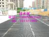 塑料排水板-上海排水板厂家低价供应